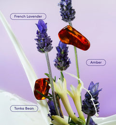 Skin Replenishing Body Wash - Warm Blend